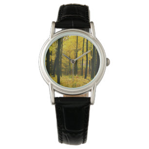 Autumn Yellow Forest Watch