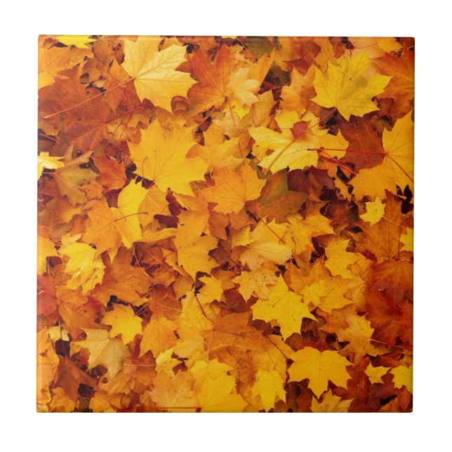Autumn Yellow Maple Leaves Ceramic Tile (Front)