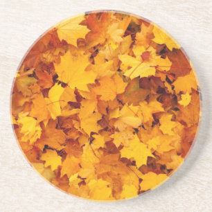 Autumn Yellow Maple Leaves Coaster