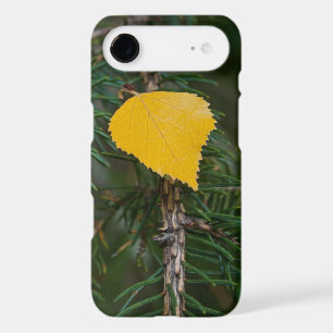 Autumn Yellow Quaking Aspen Leaf Photograph