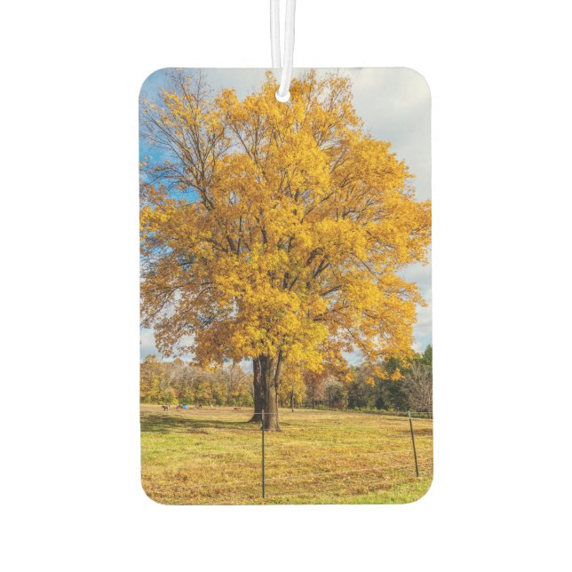 Autumn Yellow Sugar Maple Car Air Freshener (Back)