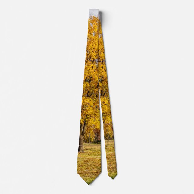 Autumn Yellow Sugar Maple Neck Tie (Front)