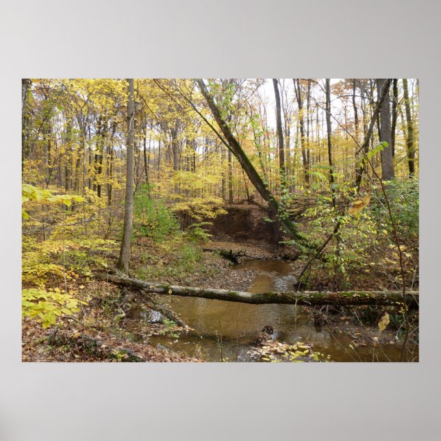 Autumn Yellow Trees at the Stream Poster (Front)