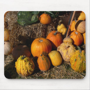 autumnal abundance mouse pad