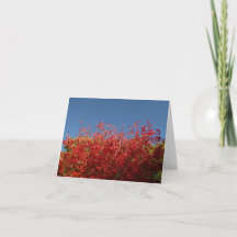 Autumnal celebration canvas print