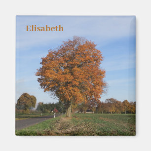 autumnal coloured single tree in October Magnet