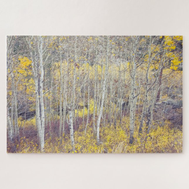 Autumnal Forest Jigsaw Puzzle (Horizontal)