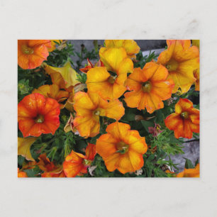 Autumnal garden postcard