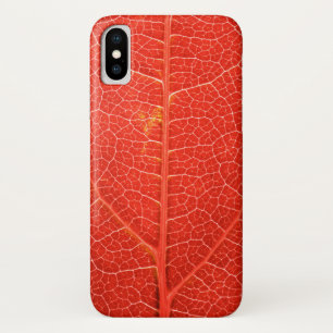 Autumnal Leaf iPhone X Case