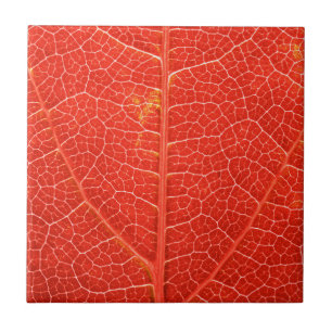 Autumnal Leaf Ceramic Tile
