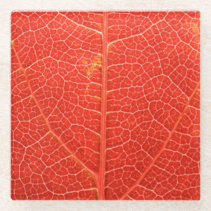 Autumnal Leaf Glass Coaster