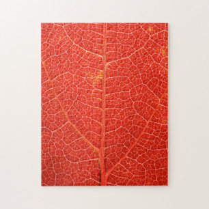 Autumnal Leaf Jigsaw Puzzle