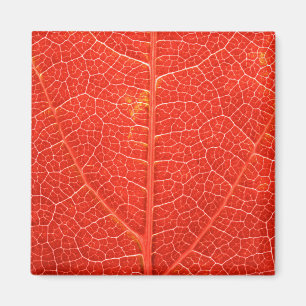 Autumnal Leaf Magnet