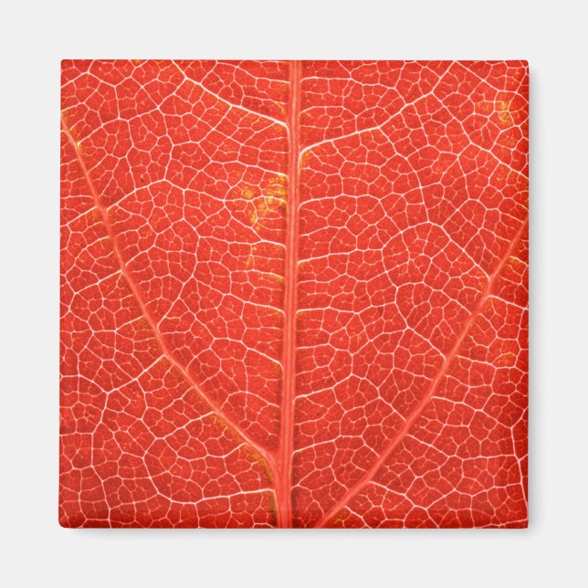 Autumnal Leaf Magnet (Front)