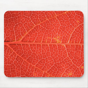 Autumnal Leaf Mouse Pad