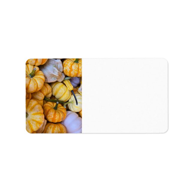 Autumnal pumpkins and gourds label (Front)