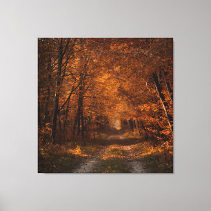 Autumn's Embrace – Tranquil Forest Path Fine Art P Canvas Print