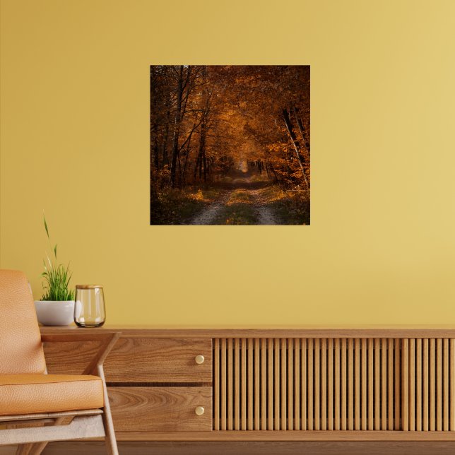 Autumn's Embrace – Tranquil Forest Path Fine Art P Poster (Living Room 2)