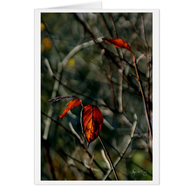 Autumn's Last Dance (Front)