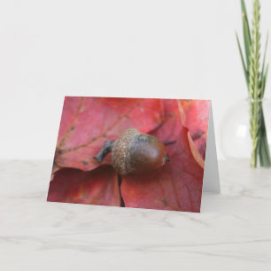 AUTUMNS PROMISE CARD