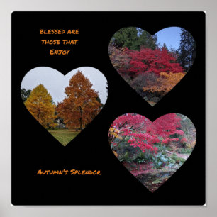 Autumn's Splendour poster
