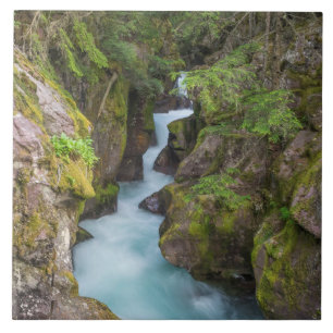 Avalanche Creek, Glacier National Park, Montana Ceramic Tile