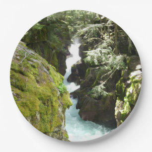Avalanche Gorge II at Glacier National Park Paper Plate