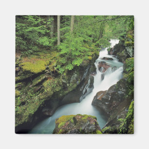 Avalanche Gorge in Glacier National Park in Magnet