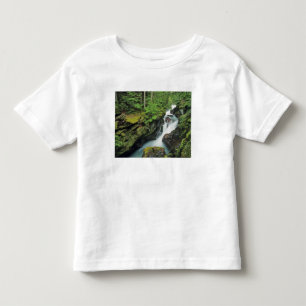 Avalanche Gorge in Glacier National Park in Toddler T-Shirt
