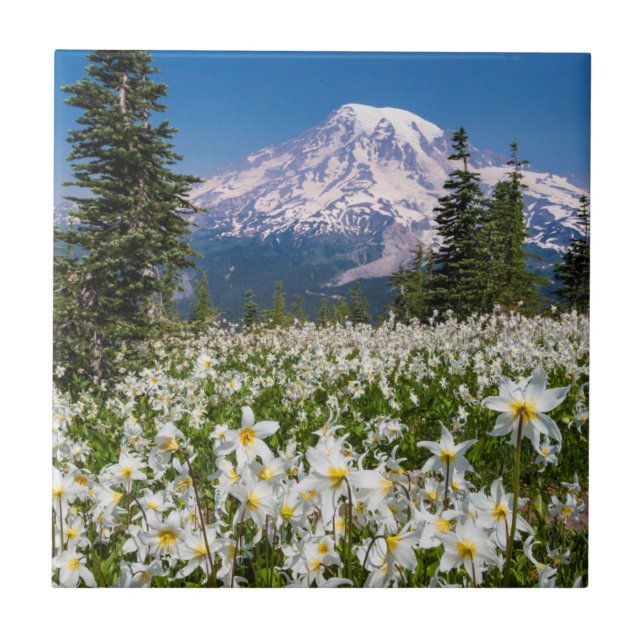 Avalanche lilies and Mount Rainier 2 Ceramic Tile (Front)