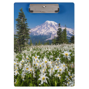 Avalanche lilies and Mount Rainier 2 Clipboard