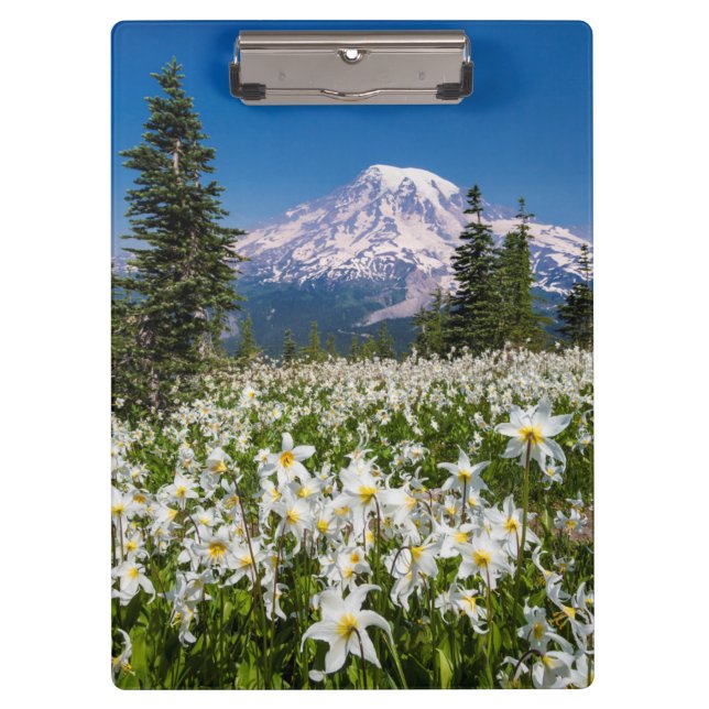 Avalanche lilies and Mount Rainier 2 Clipboard (Front)