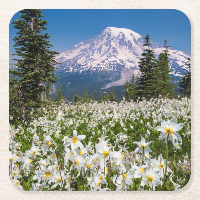 Avalanche lilies and Mount Rainier 2 Square Paper Coaster (Front)