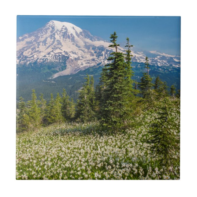 Avalanche lilies and Mount Rainier Ceramic Tile (Front)