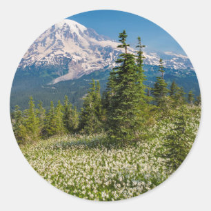 Avalanche lilies and Mount Rainier Classic Round Sticker