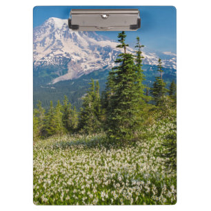 Avalanche lilies and Mount Rainier Clipboard