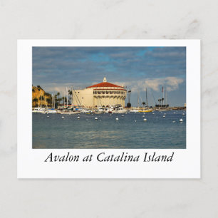 Avalon at Catalina Island Postcard