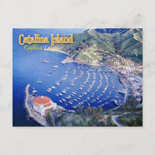 Avalon Bay, Catalina Island, California Postcard
