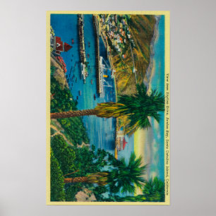 Avalon Bay, Santa Catalina Island from Skyline Poster
