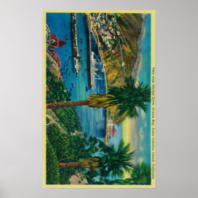 Avalon Bay, Santa Catalina Island from Skyline Poster (Front)