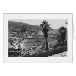 Avalon, CA Santa Catalina Island View of Harbour