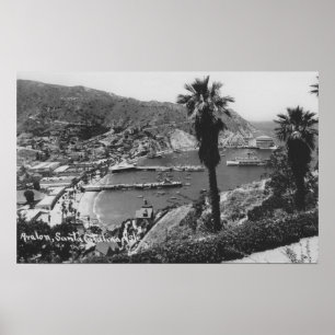 Avalon, CA Santa Catalina Island View of Harbour Poster