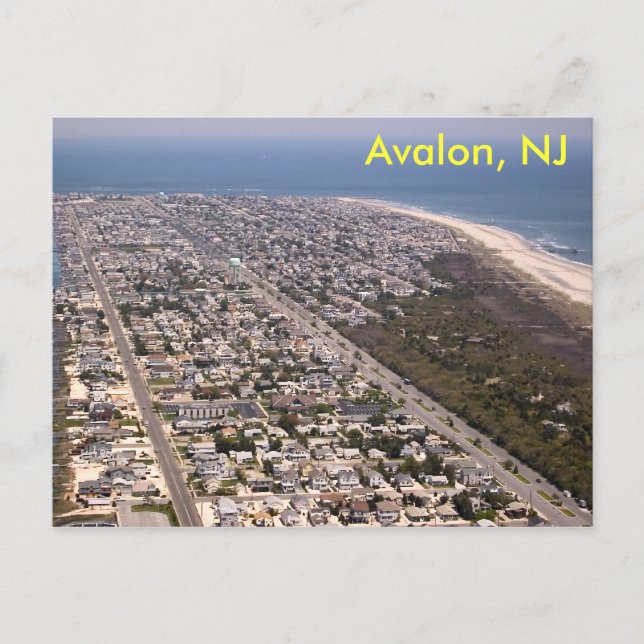 Avalon, NJ Postcard (Front)
