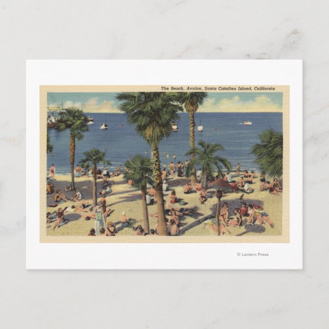 Avalon View of Beach w/ Sunbathers Postcard (Front)