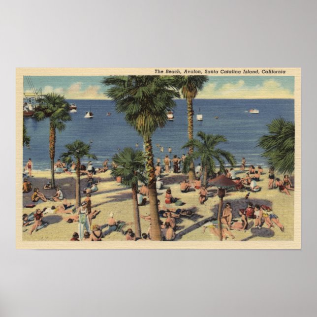 Avalon View of Beach w/ Sunbathers Poster (Front)