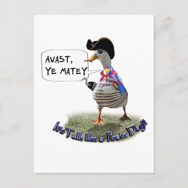 AVAST, MATEY! It be Pirate speak day Postcard (Front)