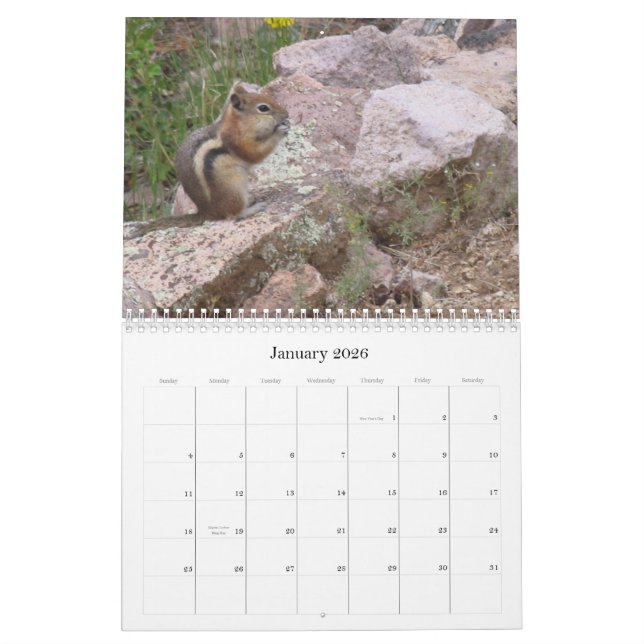 Avatar Properties Nature Calendar (Jan 2026)