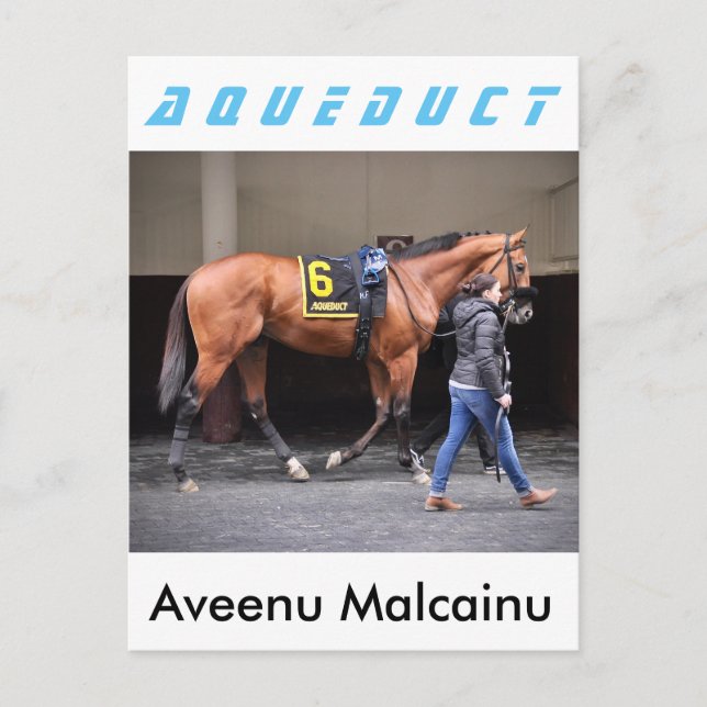 Aveenu Malcainu Postcard (Front)