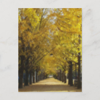 Avenue of autumn postcard
