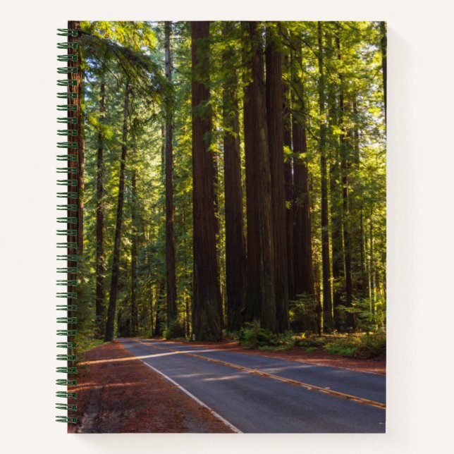 Avenue of Giant Redwood California Notebook (Front)